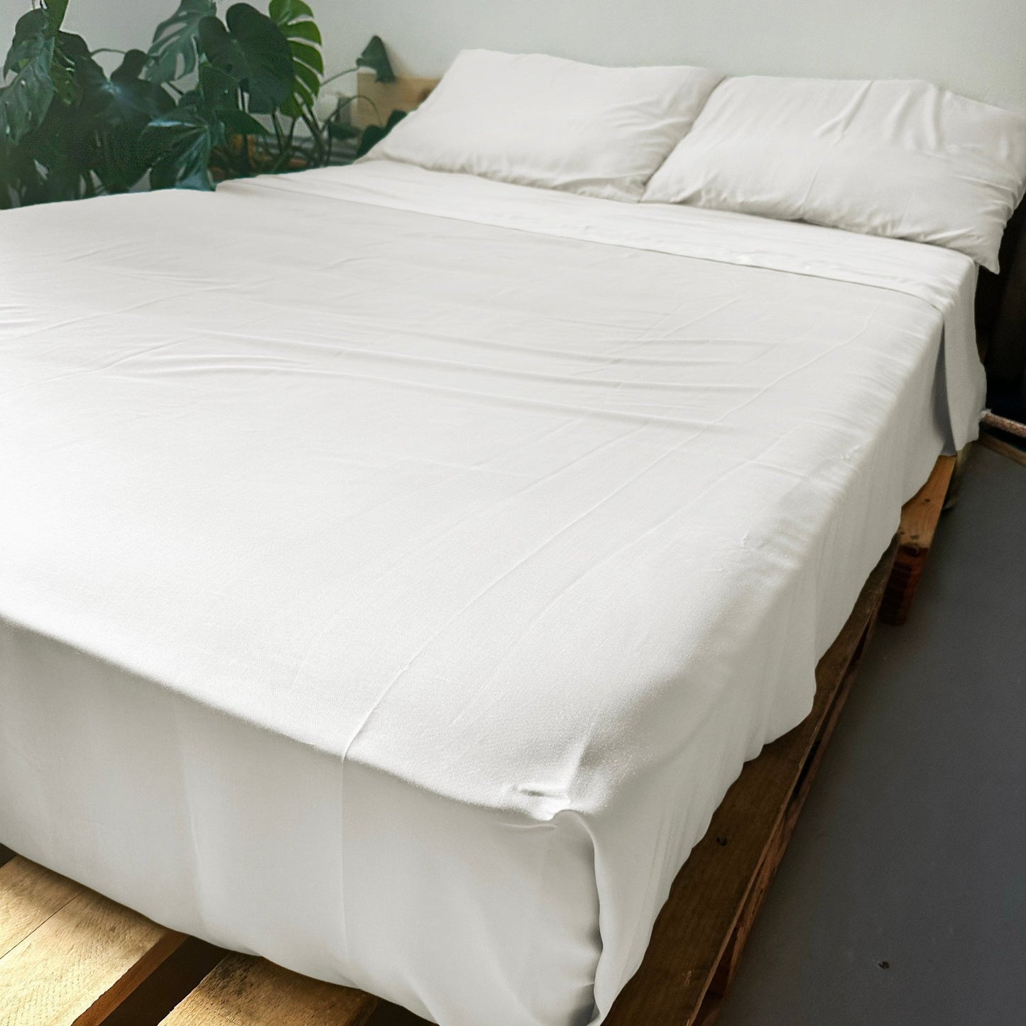 Flat Sheet Set