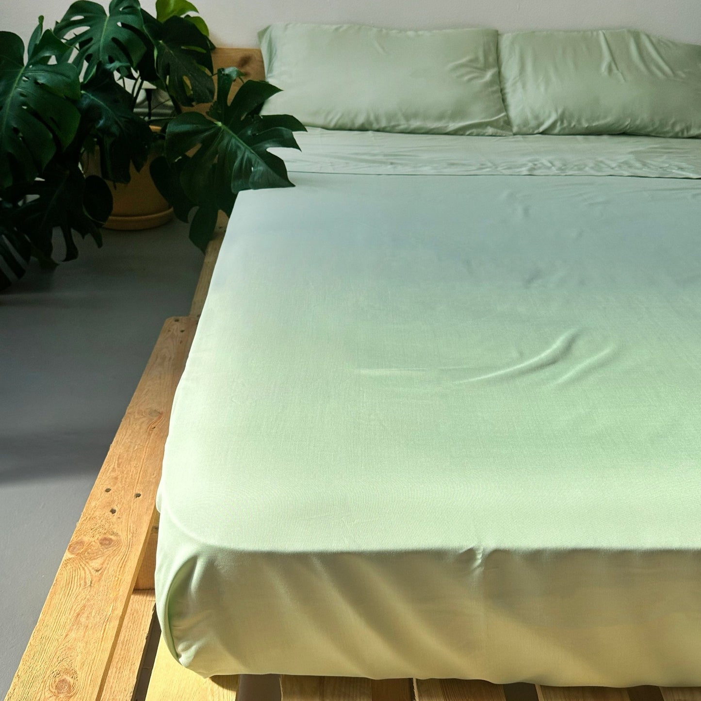 Flat Sheet Set